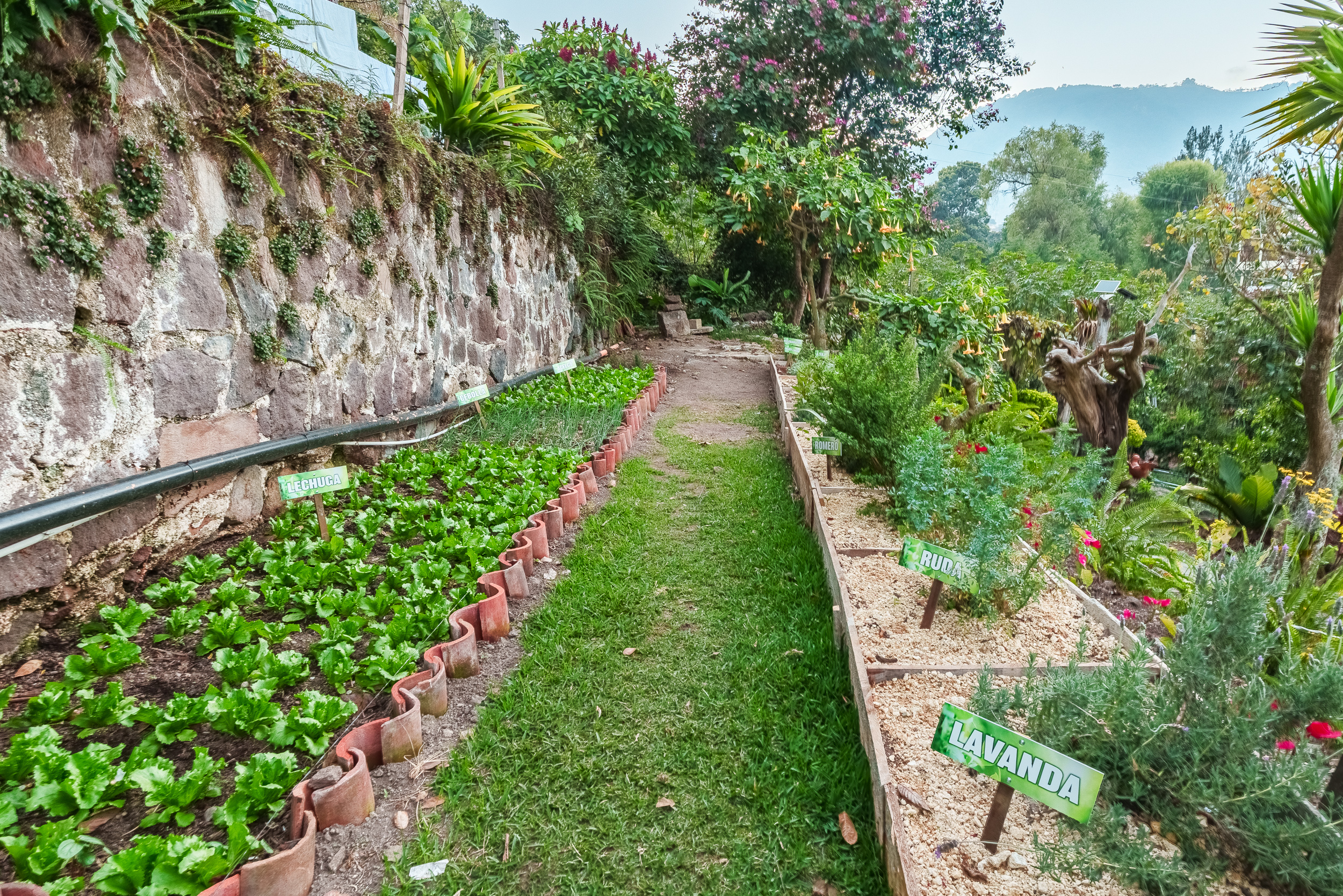 Serie de fotograf&iacute;a de arquitectura y fotograf&iacute;a documental empresarial realizada por Narrativas Digitales para Eco Hotel Uxlabil Atitl&aacute;n en San Juan la Laguna, enfocada en retratar los espacios, al equipo y narrativa visual de la marca