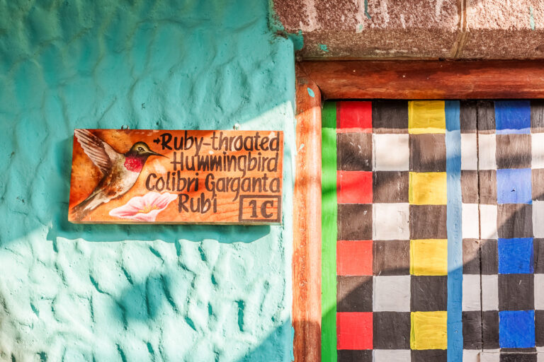Serie de fotografía de arquitectura y fotografía documental empresarial realizada por Narrativas Digitales para Eco Hotel Uxlabil Atitlán en San Juan la Laguna, enfocada en retratar los espacios, al equipo y narrativa visual de la marca